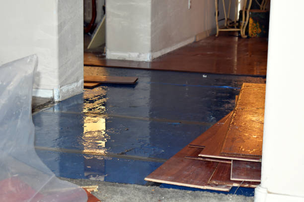 Professional Burst Pipe Cleanup technician working in Patterson, LA